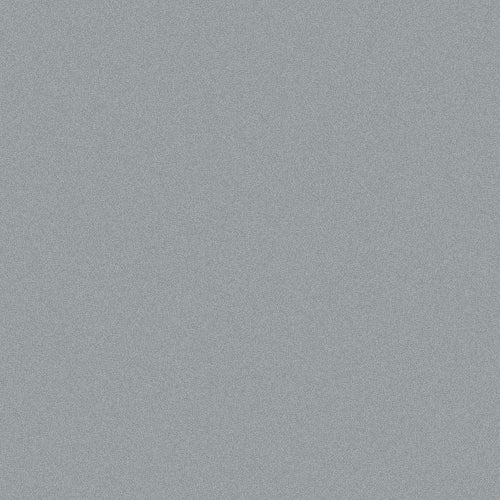 Oracol 970RA - Silver Grey Metallic Matt (M090)