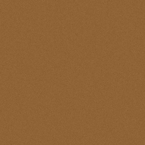Oracol 970RA - Bronze Metallic Matt (M920)